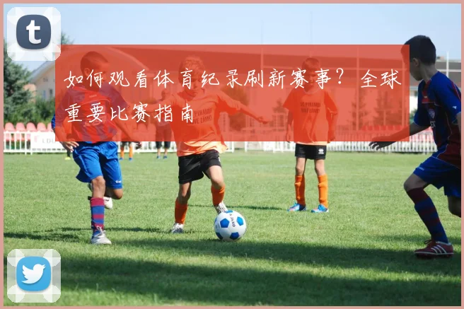 如何观看体育纪录刷新赛事？全球重要比赛指南