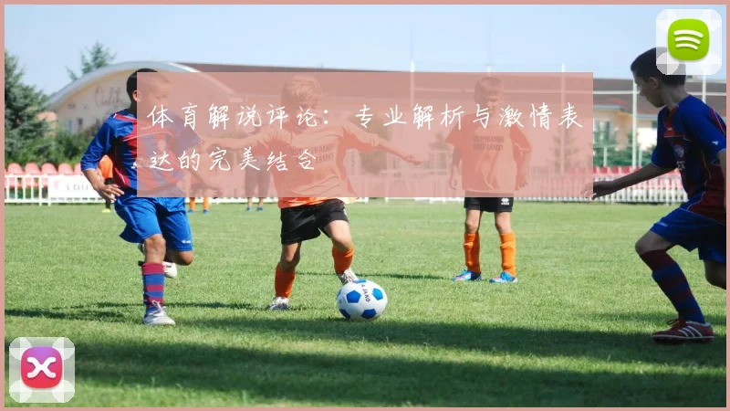 体育解说评论：专业解析与激情表达的完美结合