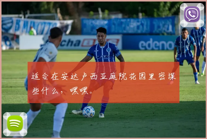 适合在安达卢西亚庭院花园里密谋些什么，嘿嘿。