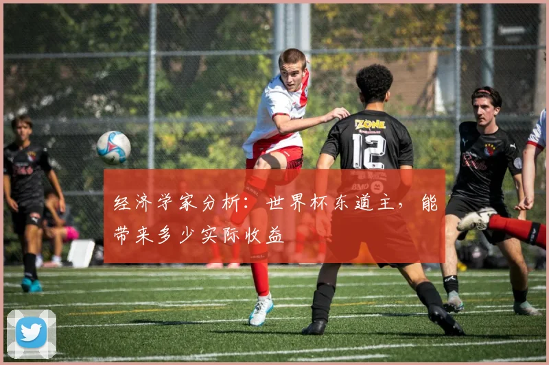 经济学家分析：世界杯东道主，能带来多少实际收益