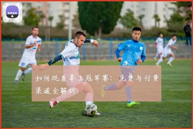 如何观看拳击冠军赛：免费与付费渠道全解析